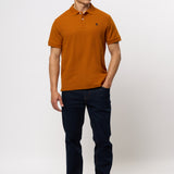 Alfred Polo