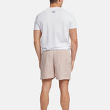 Briggs Swimshorts
