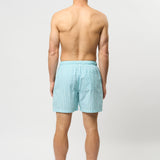Briggs Swimshorts